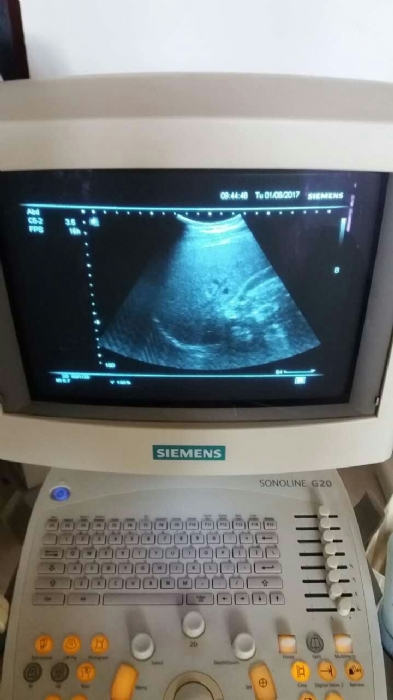 ����ҽ����е�ʳ�����